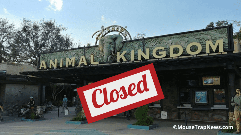 Animal kingdom is closing for good in 2024 potentially due to high costs and low revenue