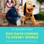 Bring your dog to Disney world with new dog days