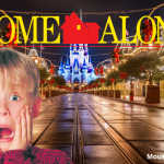 A Home Alone roller coaster is coming to Disney World