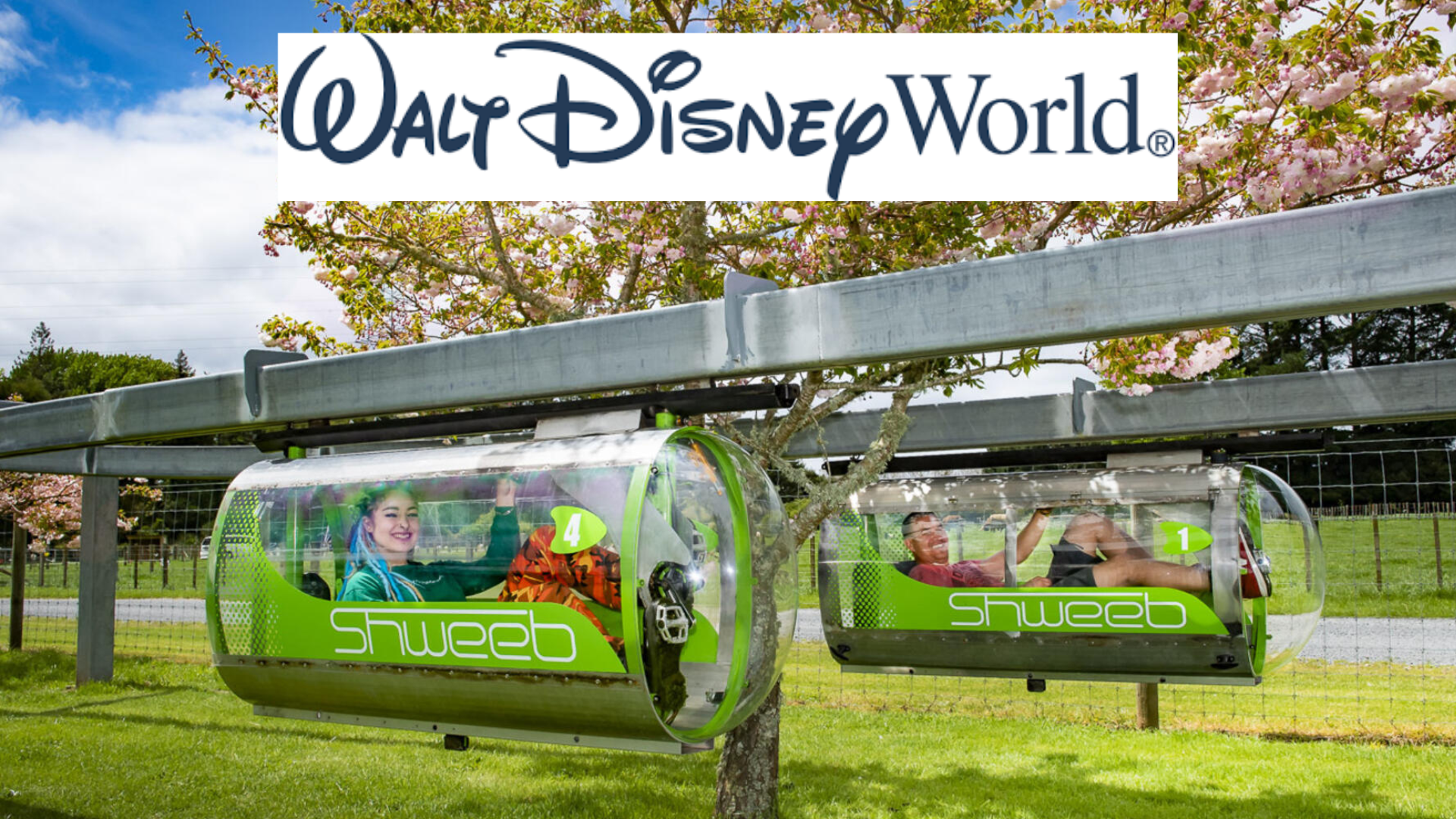 Disney annouces human powered shweeb monorails